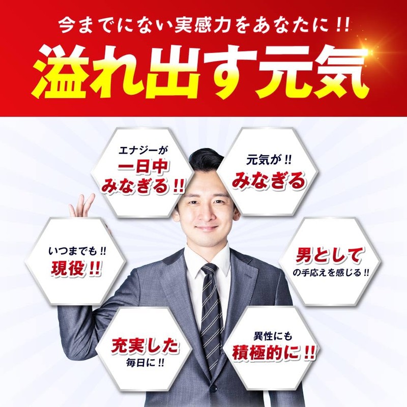 プロキオン エールマカ 黒マカ ウコン シトルリン 亜鉛 バイオペリン セレン 90粒 1ヶ月分