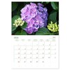Hydrangeas in the Garden (Monthly Wall Calendar 2026 11.7" x