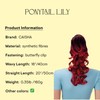 Prettyshop Ponytail Hair Piece Pony Tail Plait Voluminous approx. 50