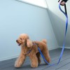 EXCELLENT ELITE SPANKER No Pull Dog Harness Reflective Nylon Vest