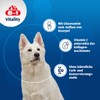 8in1 - Vitality - Glucosamin für ausgewachsene und ältere Hunde