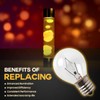 Seentech S11 E17 Middle Base 40 Watt 120V Incandescent Bulbs
