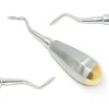 Unbranded Pedo Dental Root Tip Elevator Flohar Right Angled with