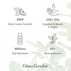 Edens Garden Concentration & Memory Essential Oil Blend, Best for