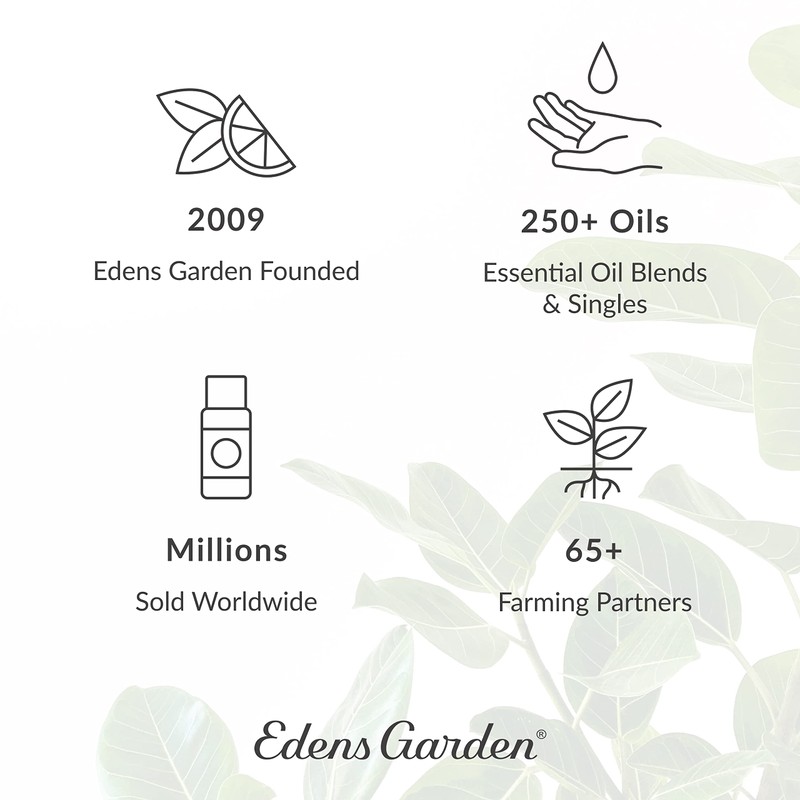 Edens Garden Concentration & Memory Essential Oil Blend, Best for