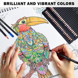 COLORCHIEF Colored Pencils 50 Count Adult Coloring Pencils for Adult Coloring Books Soft Core Coloring Pencils Colored Pencil Set Art Pencils for School Supplies Art Supplies