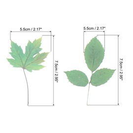 PATIKIL Transparent Flower Vinyl Stickers, 40 Sheet Waterproof PET Flowers Decals Floral Stickers for Scrapbook Journaling Crafts DIY Water Bottles, Green