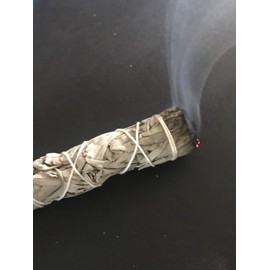 ecuador florida 6 Palo Santo Wood & 2 White Sage Smudge Sticks: Cleansing Negativity Removal