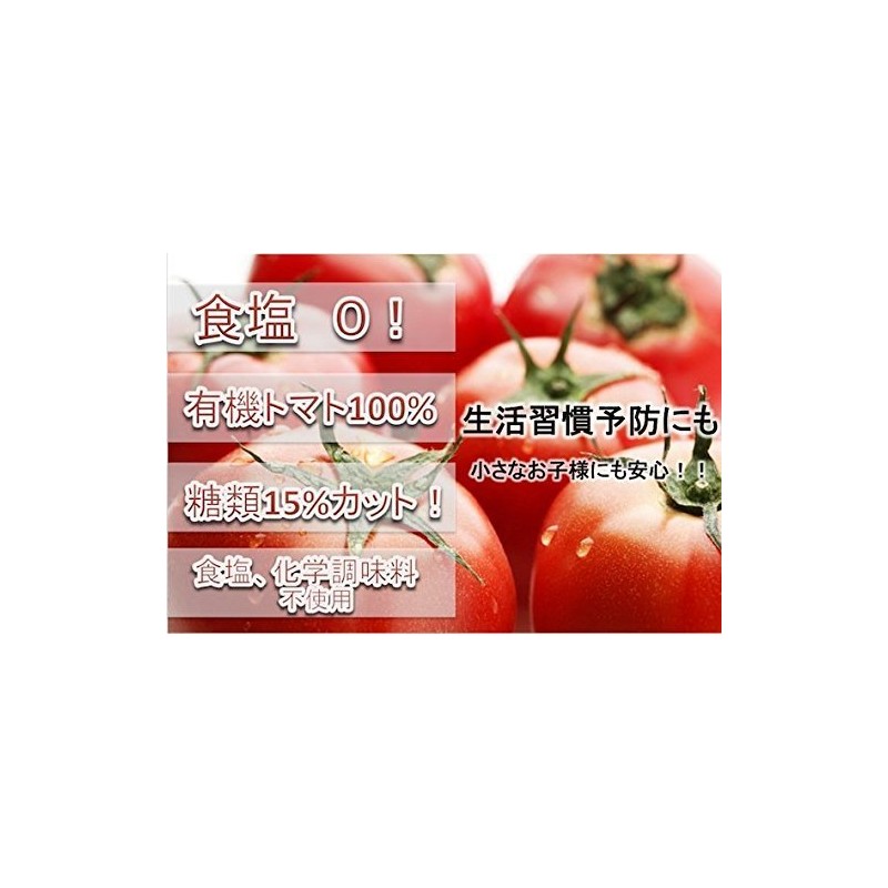 無塩 有機栽培 トマト 使用 ケチャップ ハグルマ 2本セット