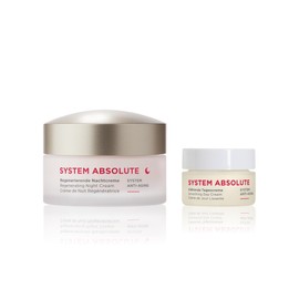 ANNEMARIE BÖRLIND System Absolute Night Care Set X-Mas - Regenerating Night Cream (50 ml) + Gift Getting to Know Size Smoothing Day Cream (15 ml) - Ensures a Regenerated Skin Complexion