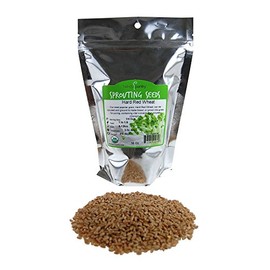 Handy Pantry Organic Wheatgrass Seeds | For Wheat Grass, Cat Grass, Food Storage & More | Hard Red Wheat (1 Pound)