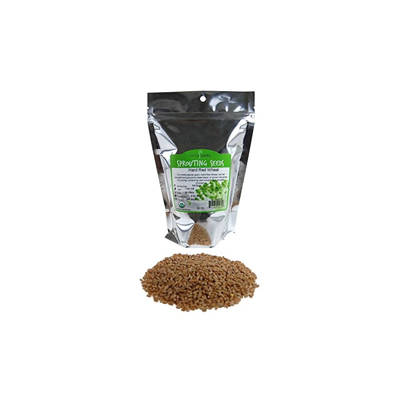 Handy Pantry Organic Wheatgrass Seeds | For Wheat Grass, Cat