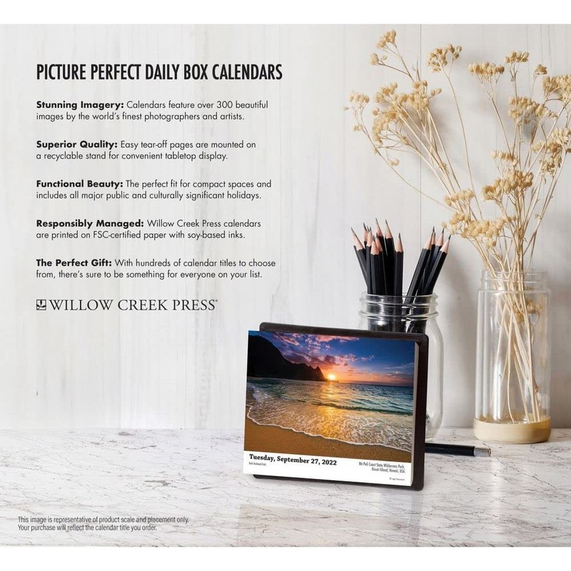 Golden Retrievers 2022 Box Calendar - Dog Breed Daily Desktop