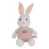 Simulation Cute Animal Rabbit with Long Stand Ears Plush Toy