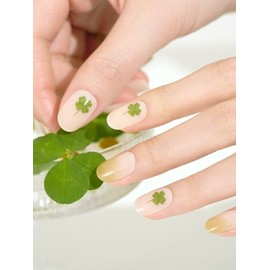Shop Gel Lucky Day Sticky Gel Nails 16pcs / 샵젤 럭키데이 붙이는 젤 네일 16pcs