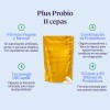 B-fit Plus Probio 11 Cepas 60 Cápsulas Probiotico Natural Sabor