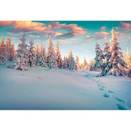 YongFoto 3x2m Backdrop Photography Winter Landscape with Footsteps Snow Covered Firs Christmas Backdrops for Photography Photo Shoots Photo Background Studio Props