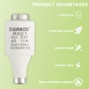 SIGANDG 10A DII E27 R021 Spiral Ceramic Fuses gG Diazed