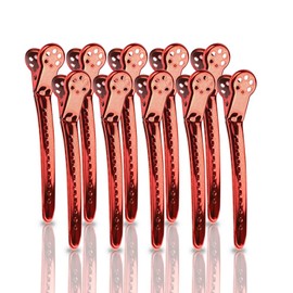 GlamorDove Metal Hair Clips Curl Clips with Holes for Hair Styling Coloring Hairdressing Metallic Finish Hair Sectioning Clips Hair Extension Hair Beauty Salon Supplies