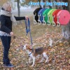 Hillban 36 Pcs Dog Leash Bulk 5 ft Multicolored Puppy