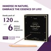 Varonite Incense Sticks - Set of 6 Scents (120 Sticks)