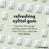 XyloBurst Gum | Xylitol Chewing Gum | Sugar Free, Gluten