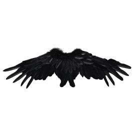 Angel Wings Costume Accessories - Realistic Feather Wings for Adults, Lightweight Fairy Wings for Cosplay, Photography (Black, 2.95ft)