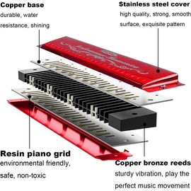 Harmonica Mouthorgan Harp Armonica 24 Hole Polyphony Diatonic Mouth Organ Key of C with Case for Blues Folk Jazz Pop Music Instrument - Color: red