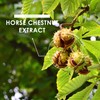 Horse Chestnut Extract 5000mg - 10% Aescin (50mg per Capsule)