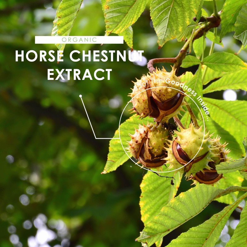 Horse Chestnut Extract 5000mg - 10% Aescin (50mg per Capsule)