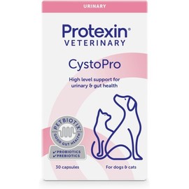 Protec VETERINARY New Companion Dog / 프로텍 VETERINARY 신 반려견