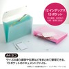 Sekisei Document File, safety pink