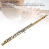 Flute Splice Pieces, Brass 16 Keys C Flute Instrument Kit