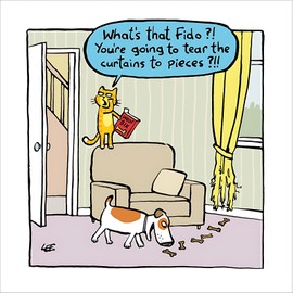 Woodmansterne Funny Birthday/Blank Greeting Card - Blank Card for Men/Women with Humorous Dog, Cat and Ripped Curtains Design - General Card Suitable for Any Occasion