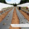 Elixir 2m Wide Black Polythene Sheeting Garden Cover Plastic (5m,