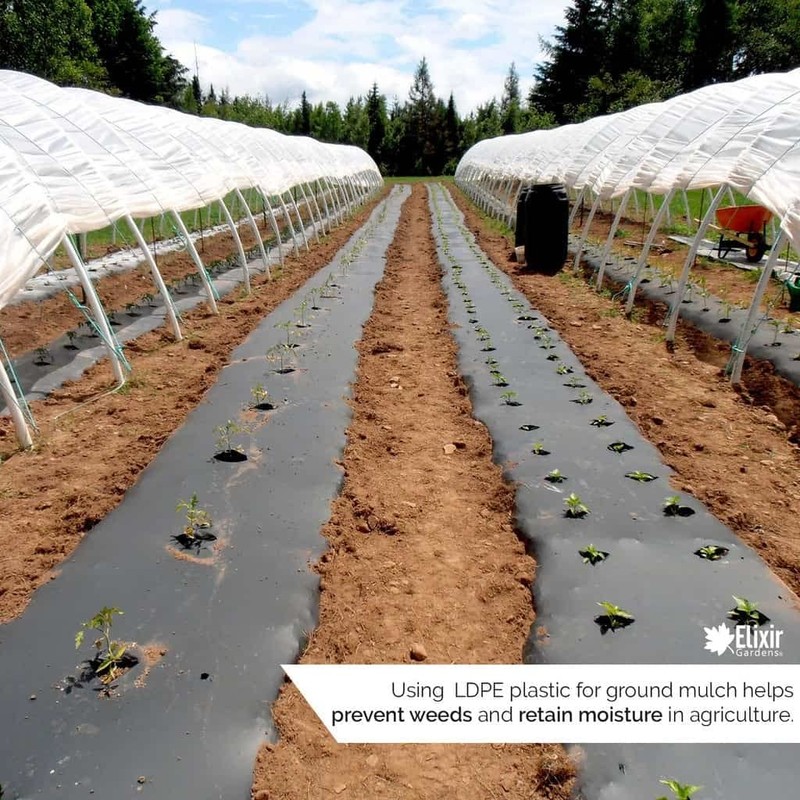 Elixir 2m Wide Black Polythene Sheeting Garden Cover Plastic (5m,