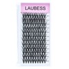 Lash Clusters LAUBESS Eyelash Clusters Individual Lashes Mixed Tray Cluster