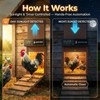 Automatic Chicken Coop Door Solar Powered with HD Screen, Timer