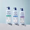 닥터그루트 스칼프 솔루션 샴푸 민감성 두피용, 700ml, 1개 Dr. Groot