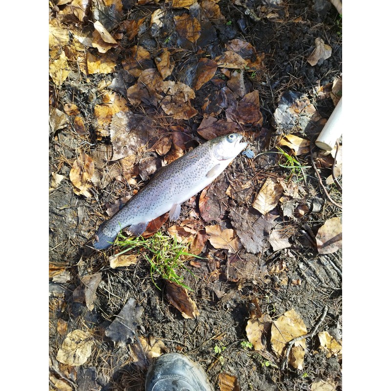 Twin-Turner® Chatterbait (4 times - 14 gr. - Textured Surface