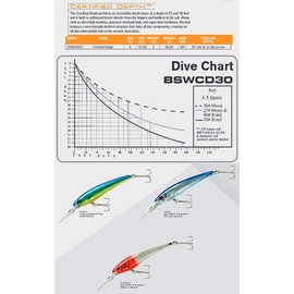 Bomber Lures Certified Depth Saltwater Grade Fishing Lure