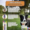 Fancy Pets Collar Galería Color Mix Tamaño Mediano para Perro