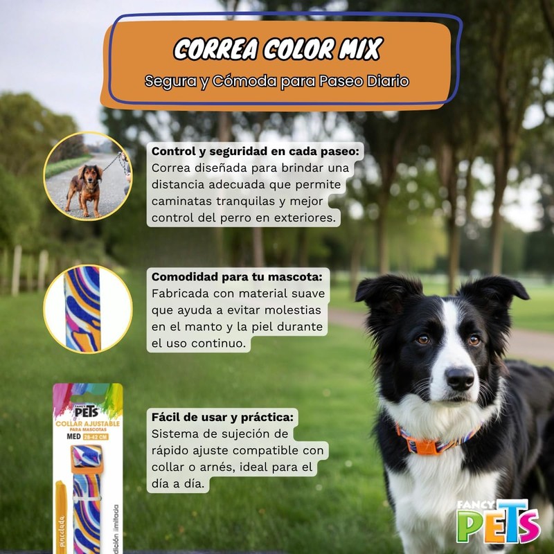 Fancy Pets Collar Galería Color Mix Tamaño Mediano para Perro