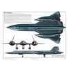 Feenixx SR-71 Blackbird Three Views - Military Airplane Educational Poster