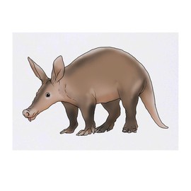 'Aardvark' Temporary Tattoo - Water Resistant, Skin-Safe, Non-Toxic Transfer (TO00042694)