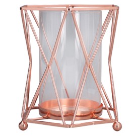 Plant Vase with Wrought Iron Flower Stand Transparent Glass Flower Pot Hydroponic Vase for Living Room
