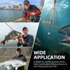 Fishing Feeder Carp Fishing Hooks with Fishing Spring Carp Feeder