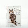 Power Animal Cards GB: Spirit guides for your spiritual life