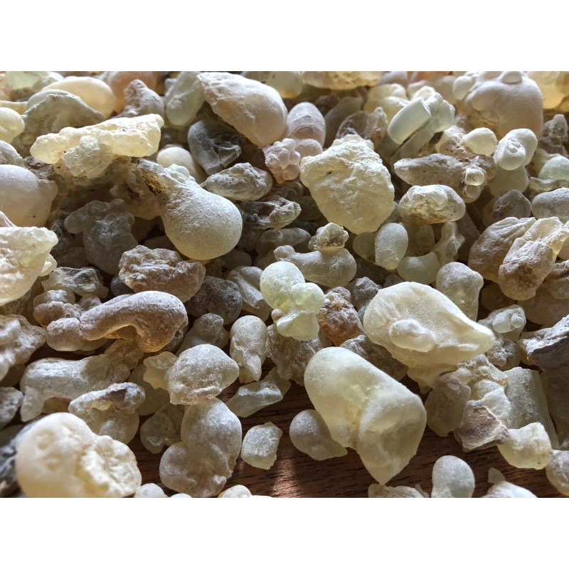 Royal Frankincense Organic Hojari Frankincense Oman (Bos. Sacra) (1/2 lb)