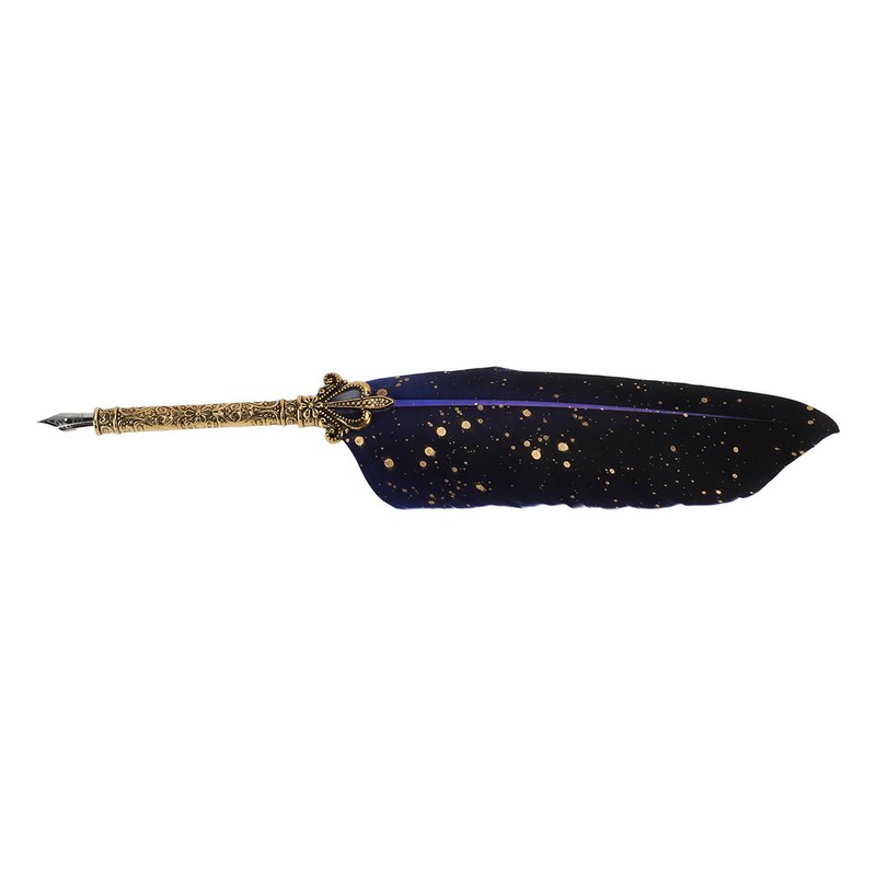 Quill Pen Set Exquisite Retro Smoothing Writing Feather Pen Caligraphy